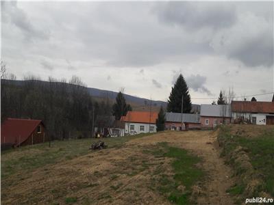 teren in sat Brebu Nou